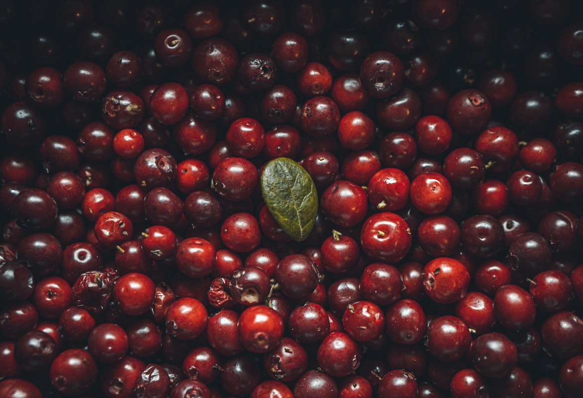 Ausgewogene Ernährung im Alltag
